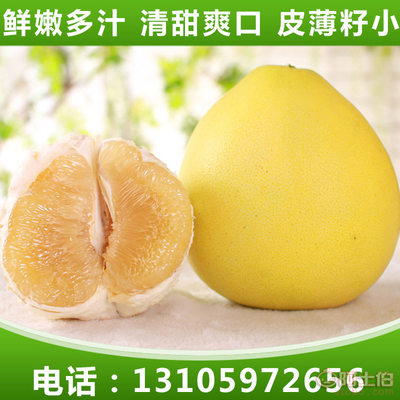 兴鑫隆凯新鲜前岐四季柚与平和蜜柚 优质有机柚子批发首选