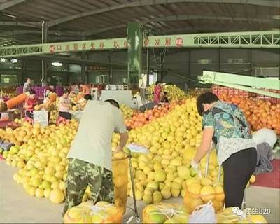 柚子批发热销背后的物流保障探秘