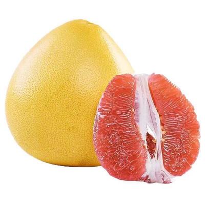 平和管溪蜜柚与红心柚子的批发价格分析