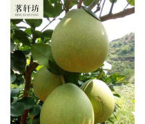 赣州柚子产品库——优质柚子批发，尽在江西产品库